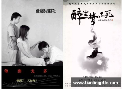 体育明星的背后故事：奋斗与执着