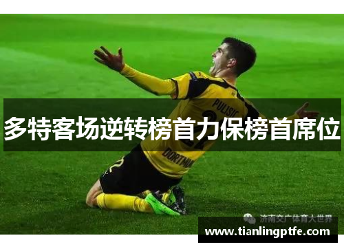多特客场逆转榜首力保榜首席位