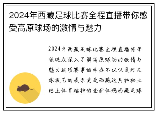 2024年西藏足球比赛全程直播带你感受高原球场的激情与魅力
