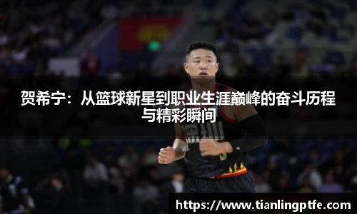 333体育贺希宁：从篮球新星到职业生涯巅峰的奋斗历程与精彩瞬间